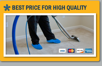 carpet cleaning services